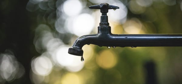 What Comes After Carbon: Building Resiliency Out of Dependency